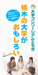 平成２３年度パンフレット